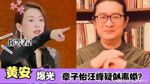 大郎夫妇爆料视频大全集,揭秘背后惊人真相  第3张