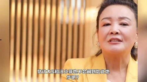 张兰爆料卖房子视频大全,揭秘豪宅背后的故事  第3张