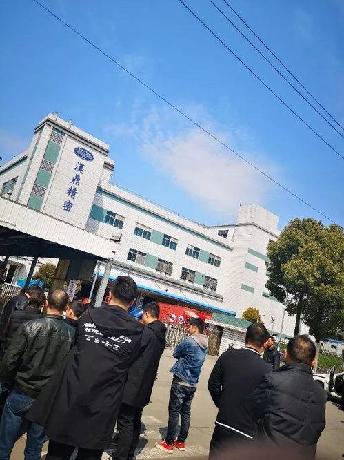 江苏昆山爆料事件最新,真相与争议交织的悬疑剧